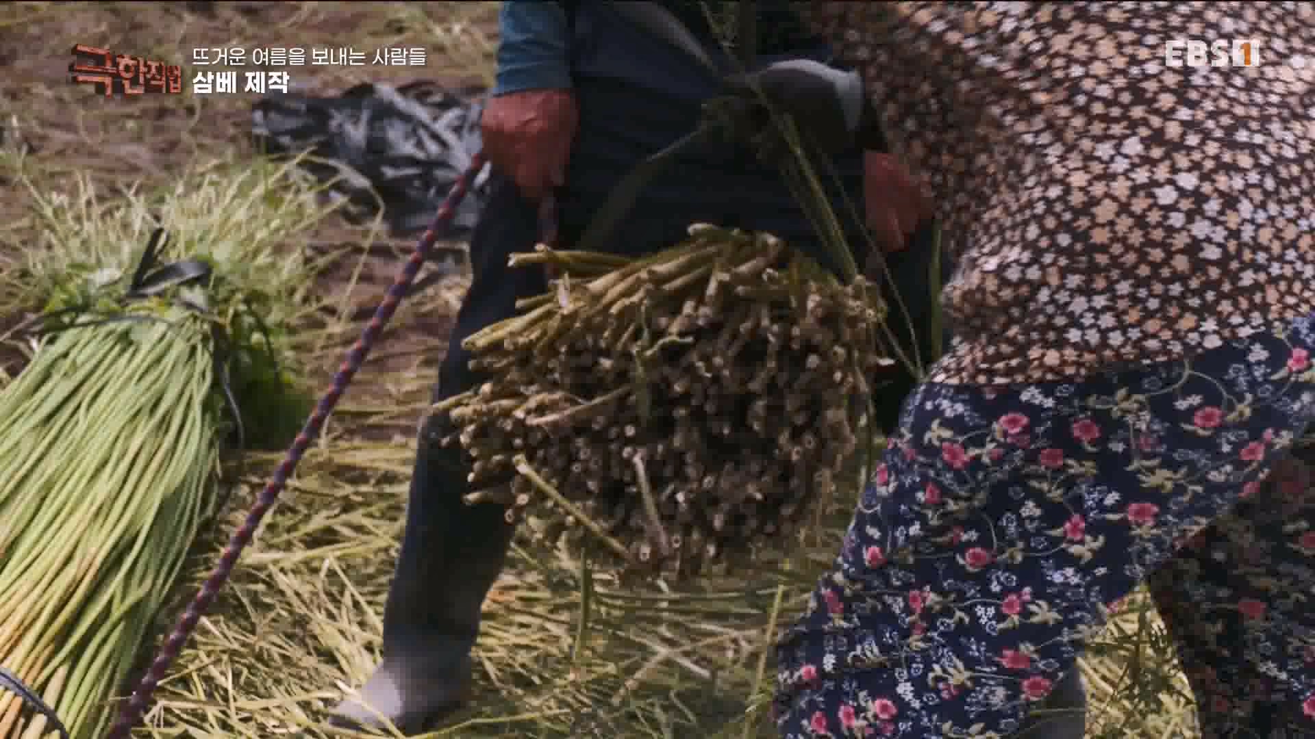 [극한 직업] 삼베 제작과 농어잡이 230812p.mp4_20230814_204003.828.jpg