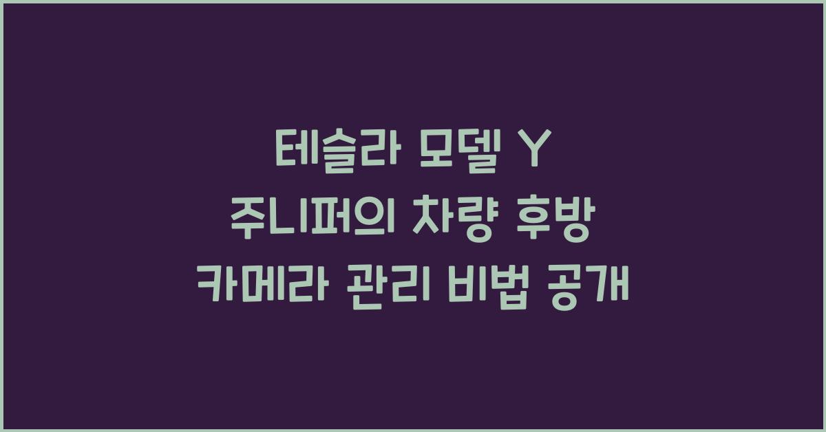 테슬라 모델 Y 주니퍼의 차량 후방 카메라 관리