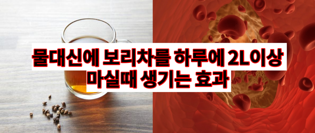  하루에 물 대신 보리 차를 먹으면 우리 몸에 생기는 변화 6가지 | 보리차 효능 6가지(건강정보)