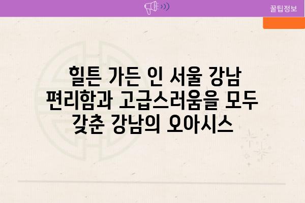  힐튼 가든 인 서울 강남 편리함과 고급스러움을 모두 갖춘 강남의 오아시스