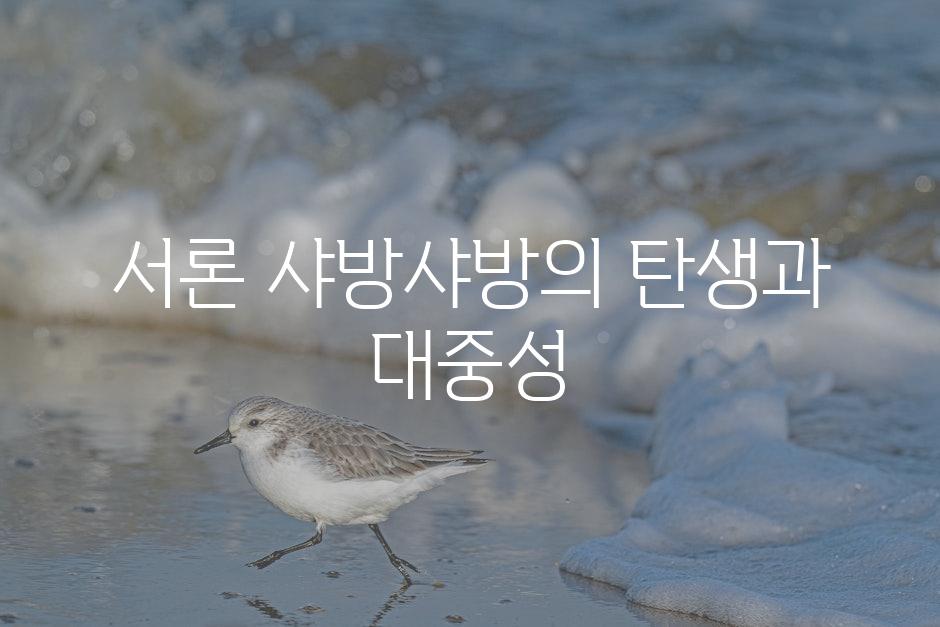 서론 샤방샤방의 탄생과 대중성