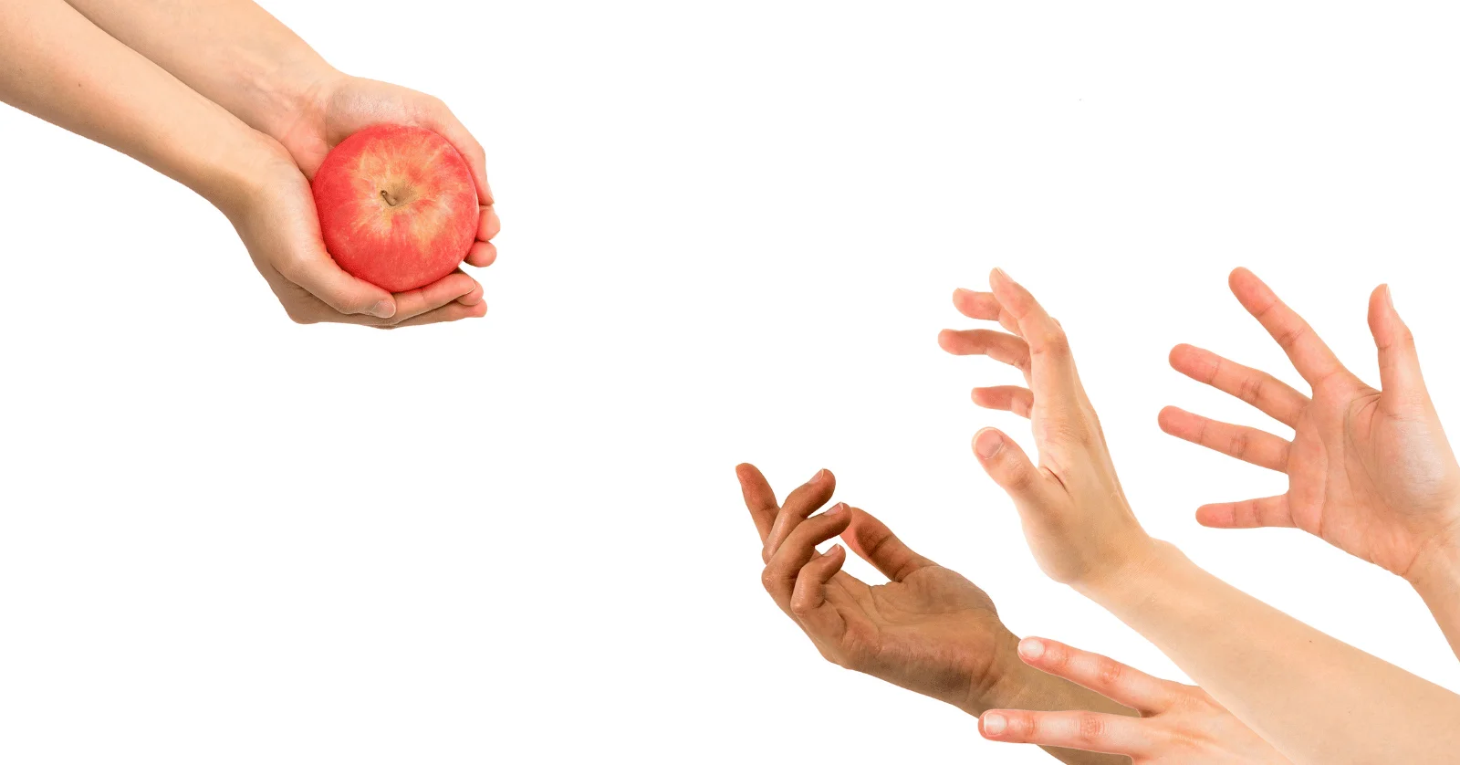 수요와 공급의 법칙