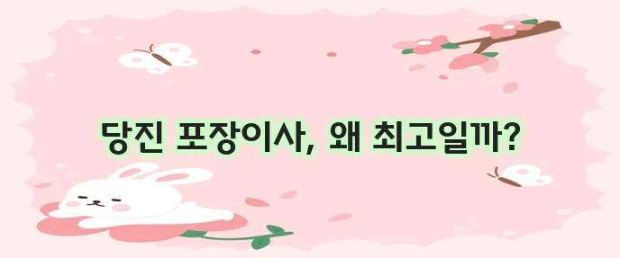 당진 포장이사는 역시 여기가 최고입니다!
