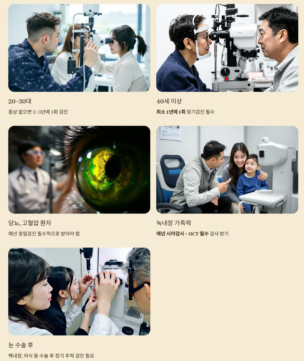 정밀검사 주기