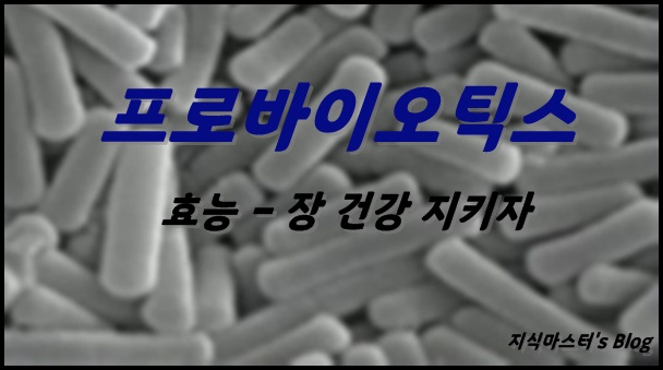  프로바이오틱스 효능 장 건강을 지키자