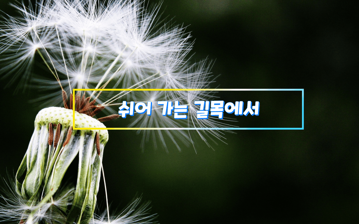  쉬어 가는 길목에서