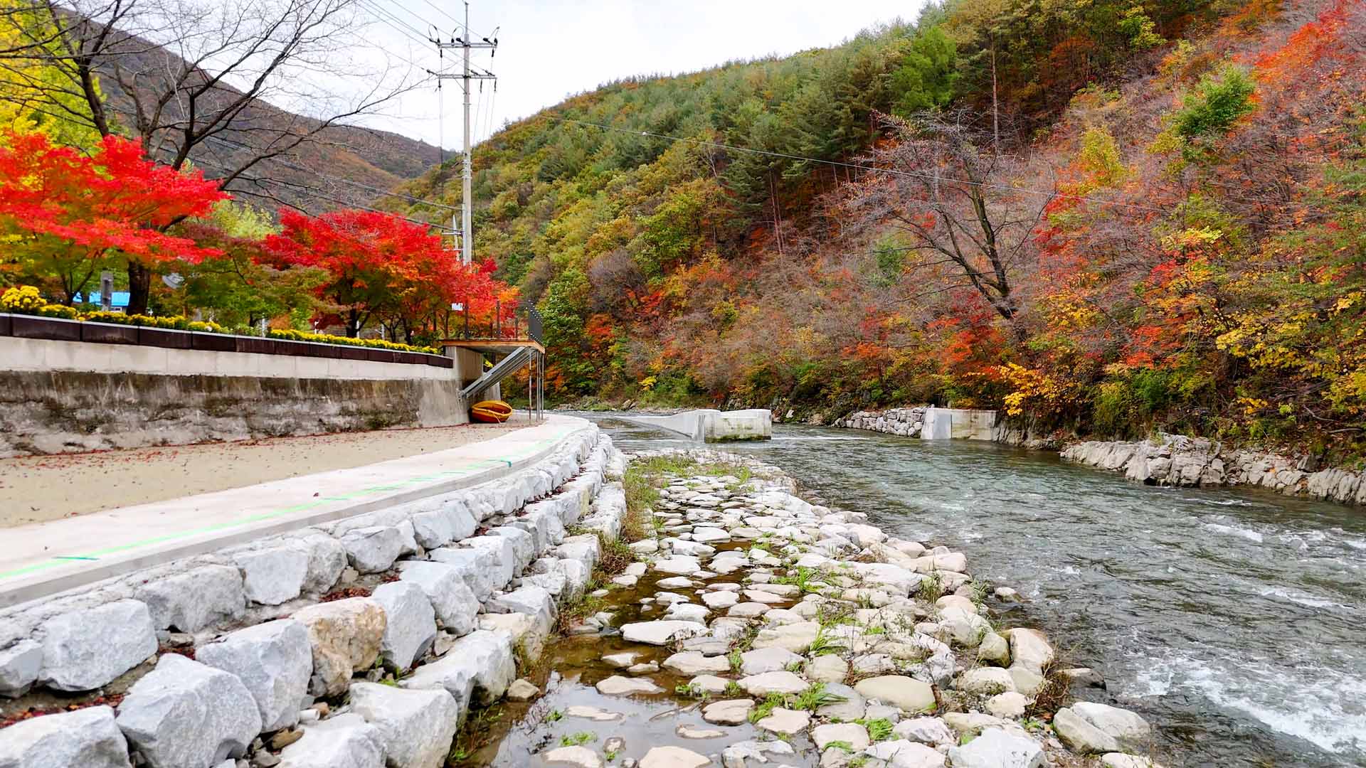 철암단풍군락지