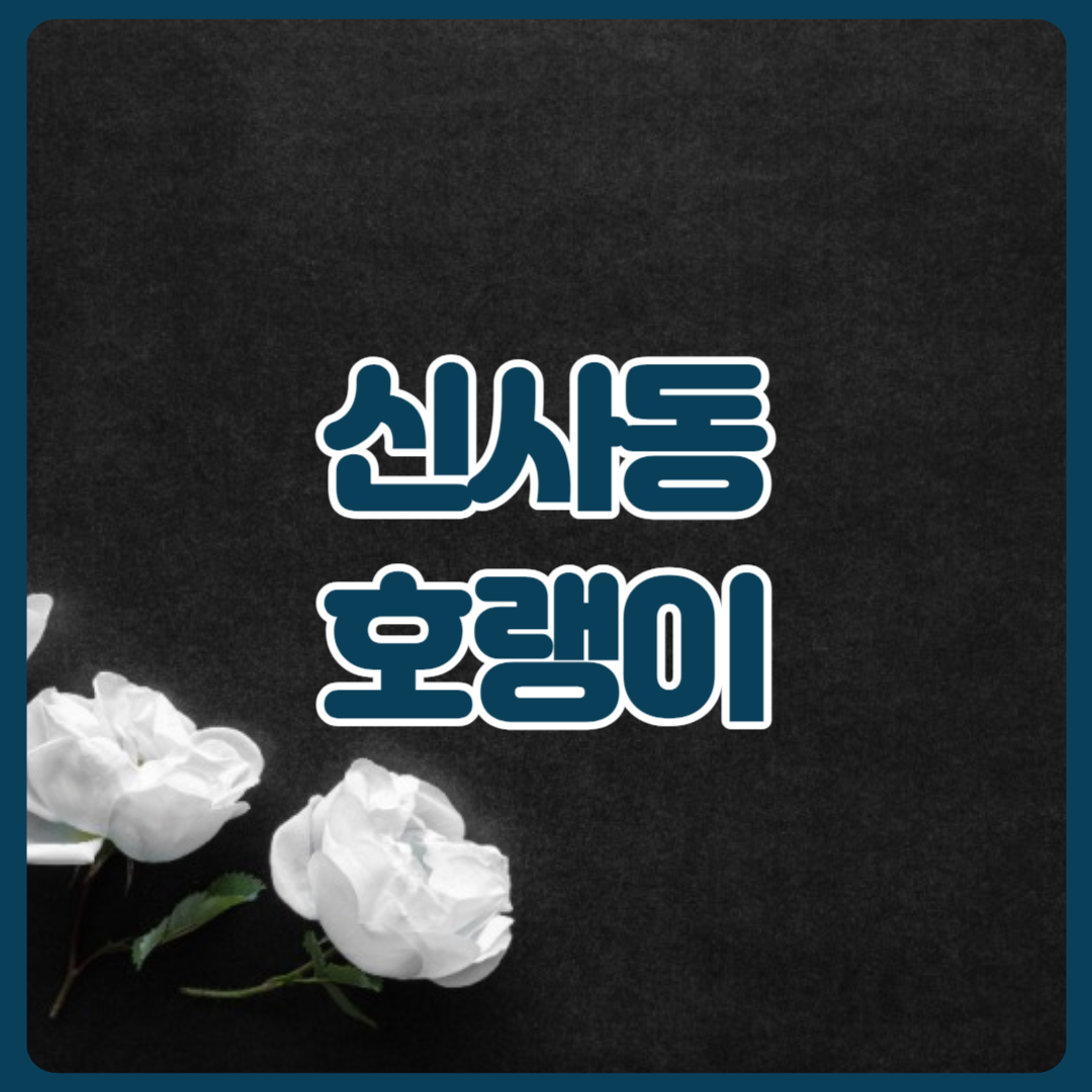 신사동_호랭이