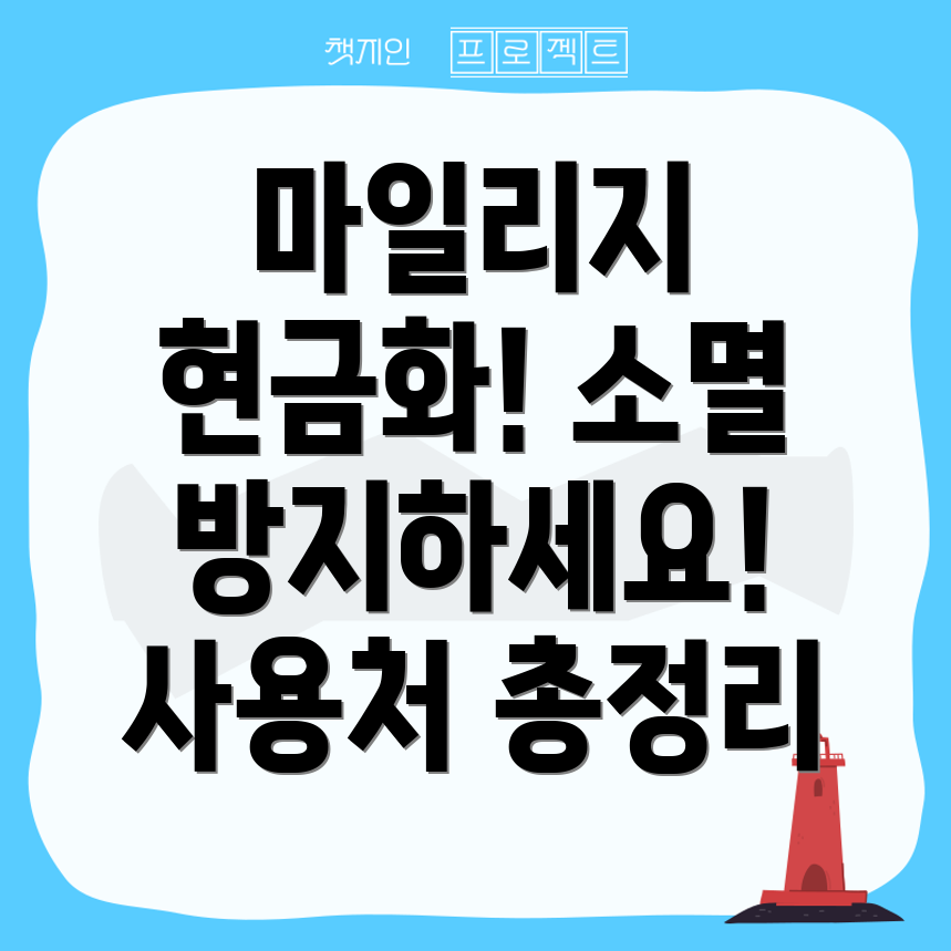 아시아나 마일리지 활용
