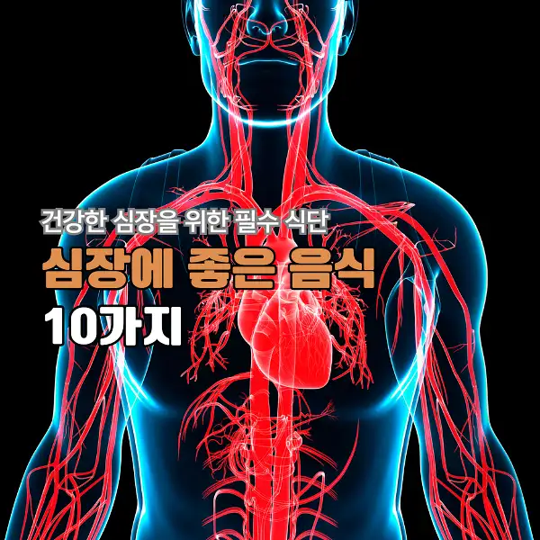 심장에 좋은 음식