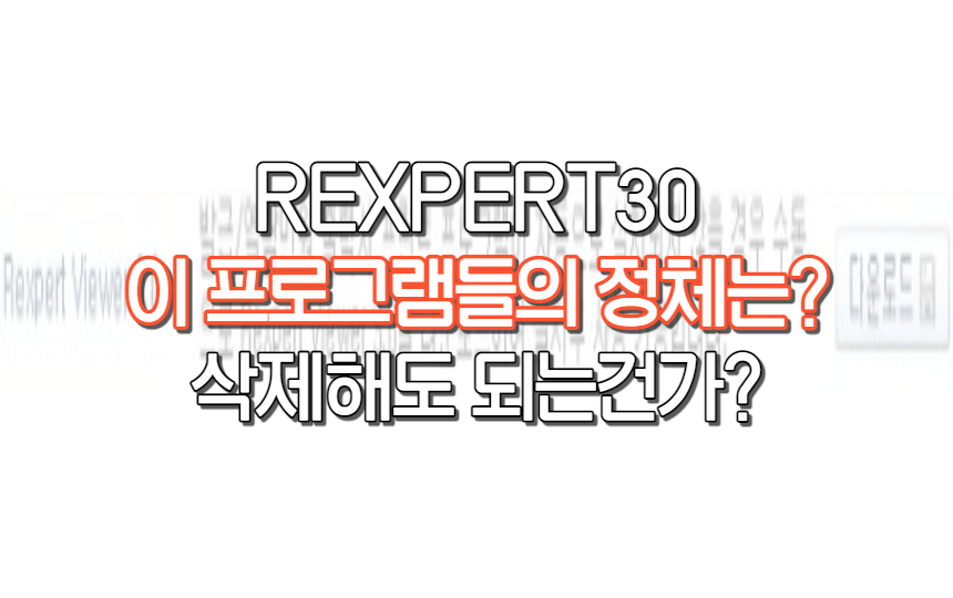  REXPERT30 정체