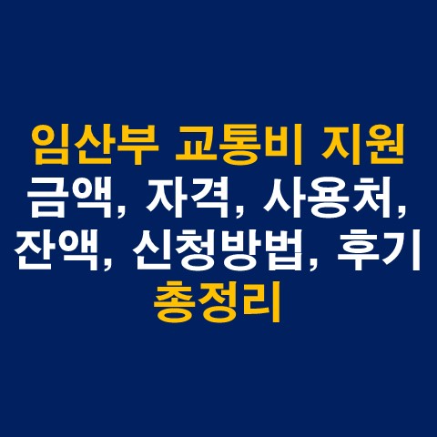  서울시 임산부 교통비 지원 금액, 자격, 사용처, 잔액확인, 신청방법, 후기 총정리