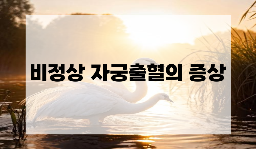 비정상 자궁출혈의 증상