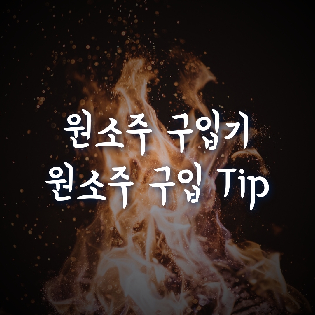  원소주 구입, GS편의점 나만의 냉장고 어플 사용기