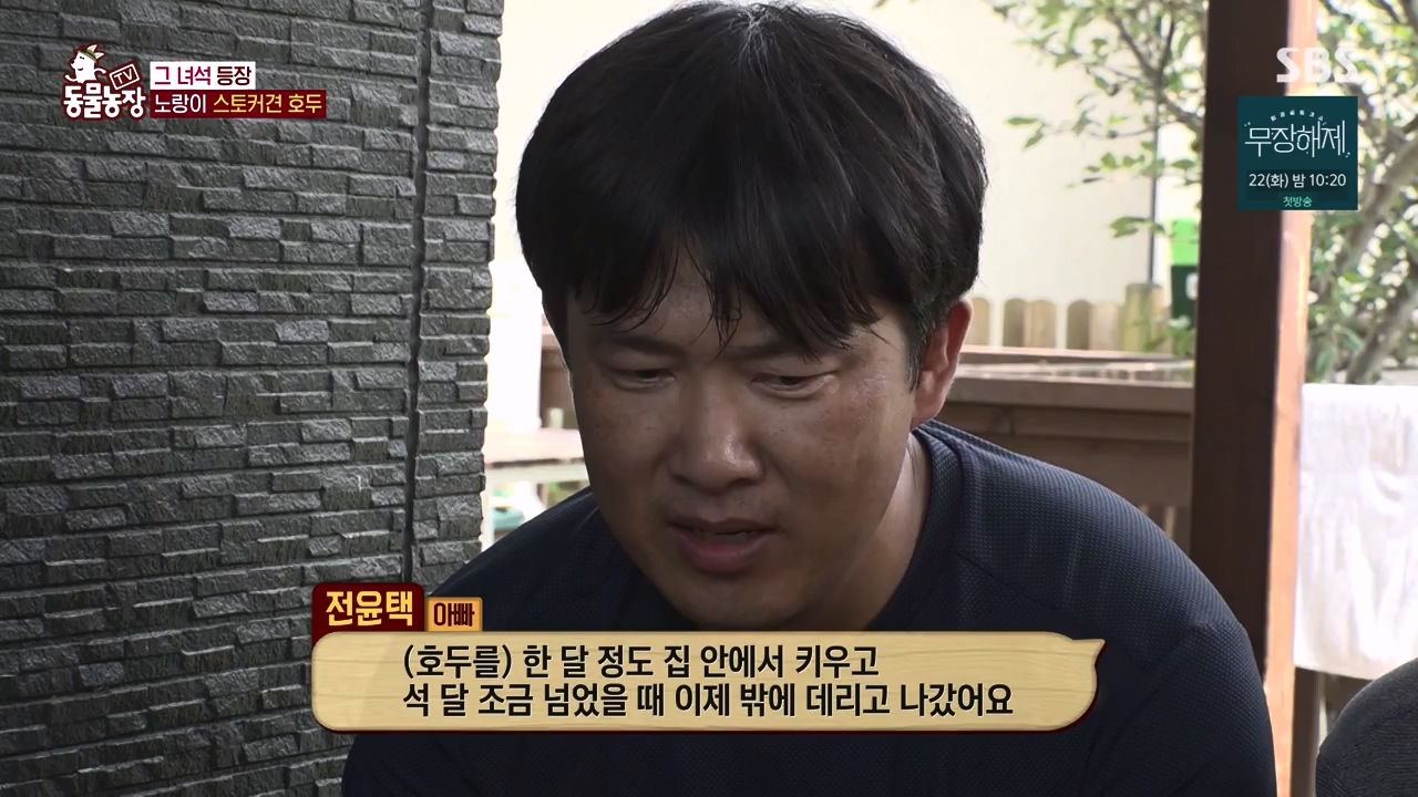 TV 동물농장.E1133.230814p-NEXT.mp4_20230813_171326.096.jpg