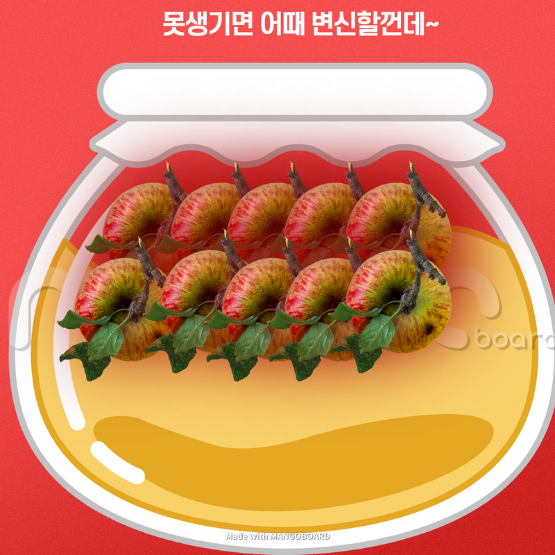  사과식초 효능 건강