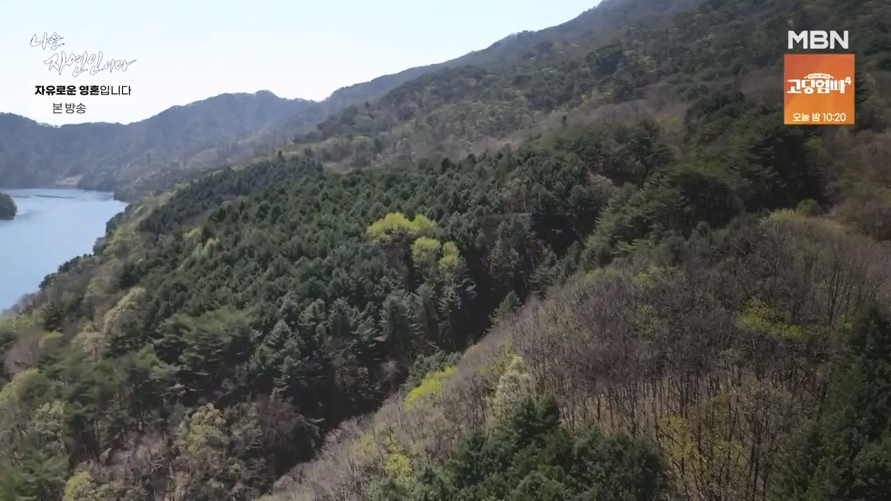 나는 자연인이다.E604.240509p-NEXT.mp4_20240509_195721.856.jpg