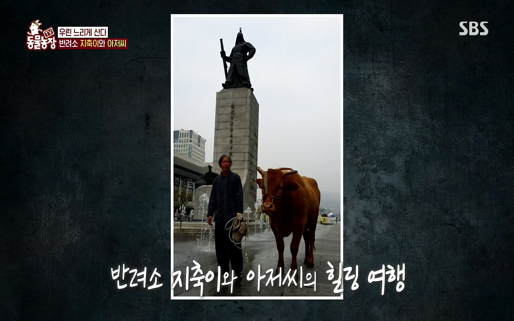 TV 동물농장.E1074.220619p.H264-F1RST.mp4_20220619_181513.108.jpg