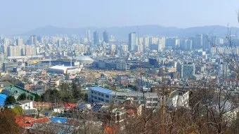 대전 맛집 리스트 지역 주민 추천 맛집 완전 정복_19