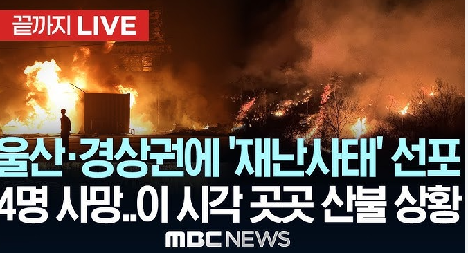 2025년 3월 22일 산불 상황
