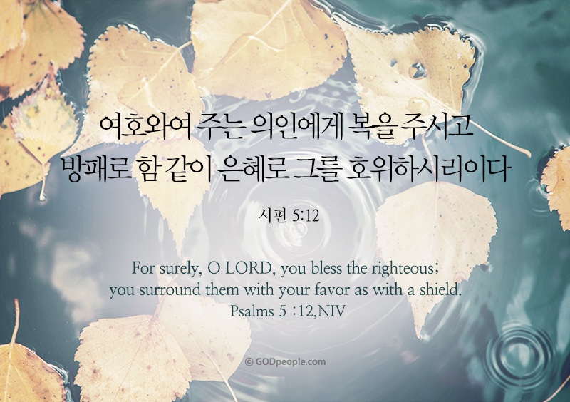 시편 5편 12절