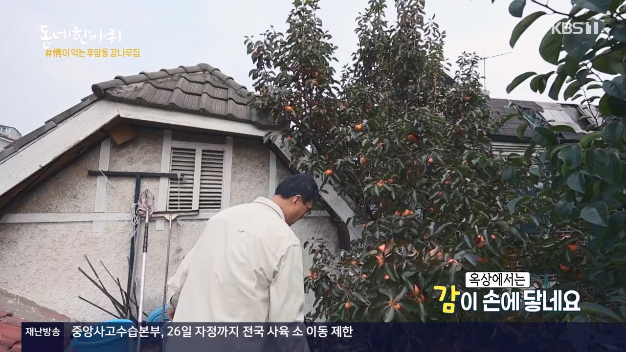 동네 한 바퀴.E248.231119p-NEXT.mp4_20231120_195206.857.jpg