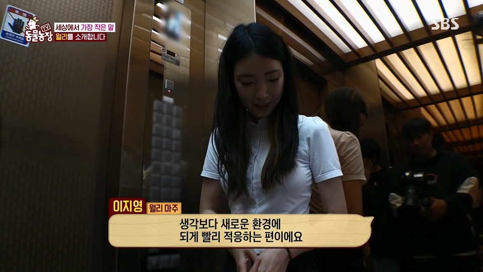 TV 동물농장.E1126.230625p.H264-F1RST.mp4_20230626_204259.752.jpg