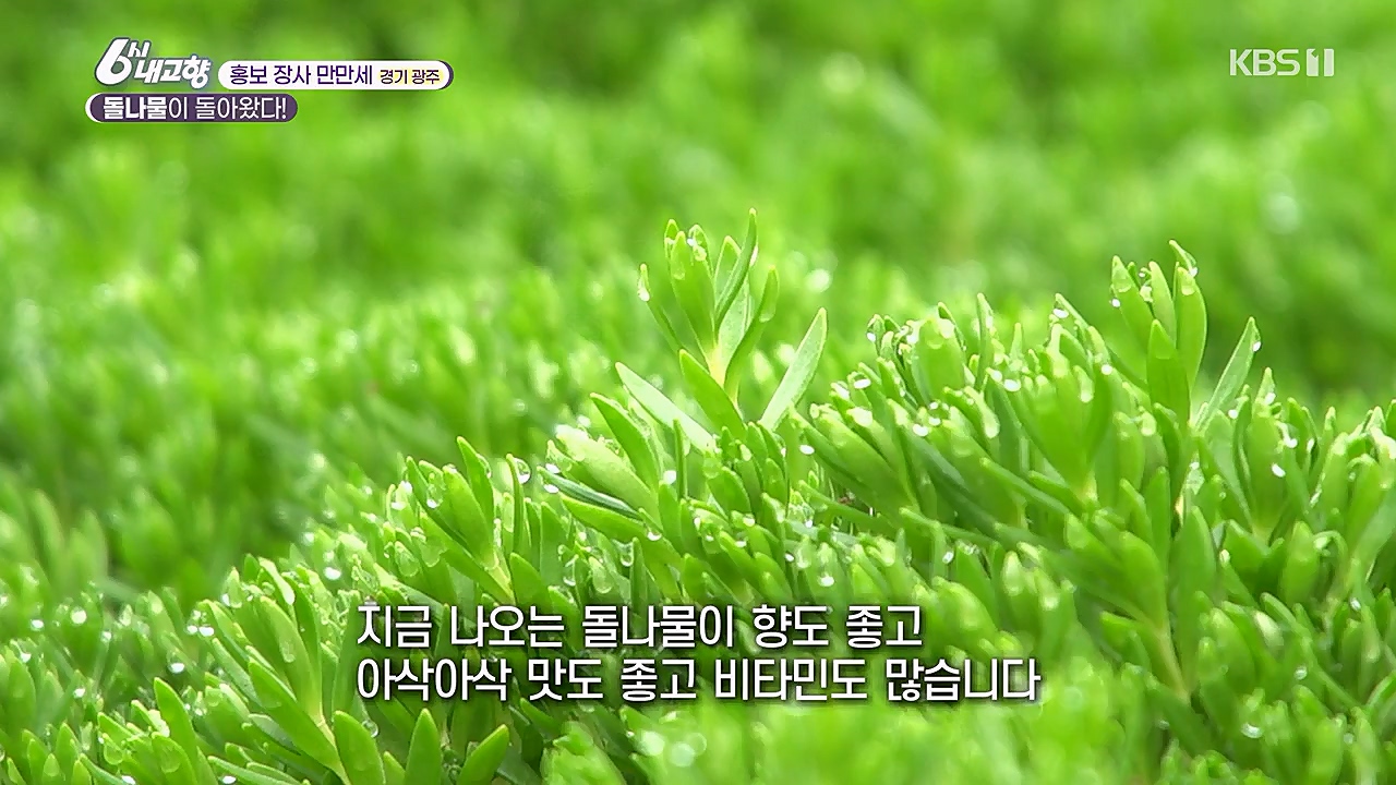 6시 내고향.E7753.230315p-NEXT.mp4_20230315_180932.368.jpg
