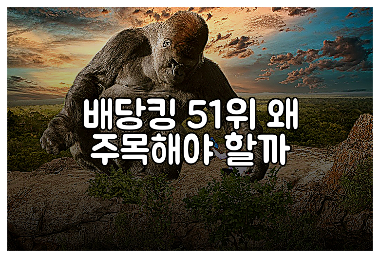 배당킹 51위 왜 주목해야 할까