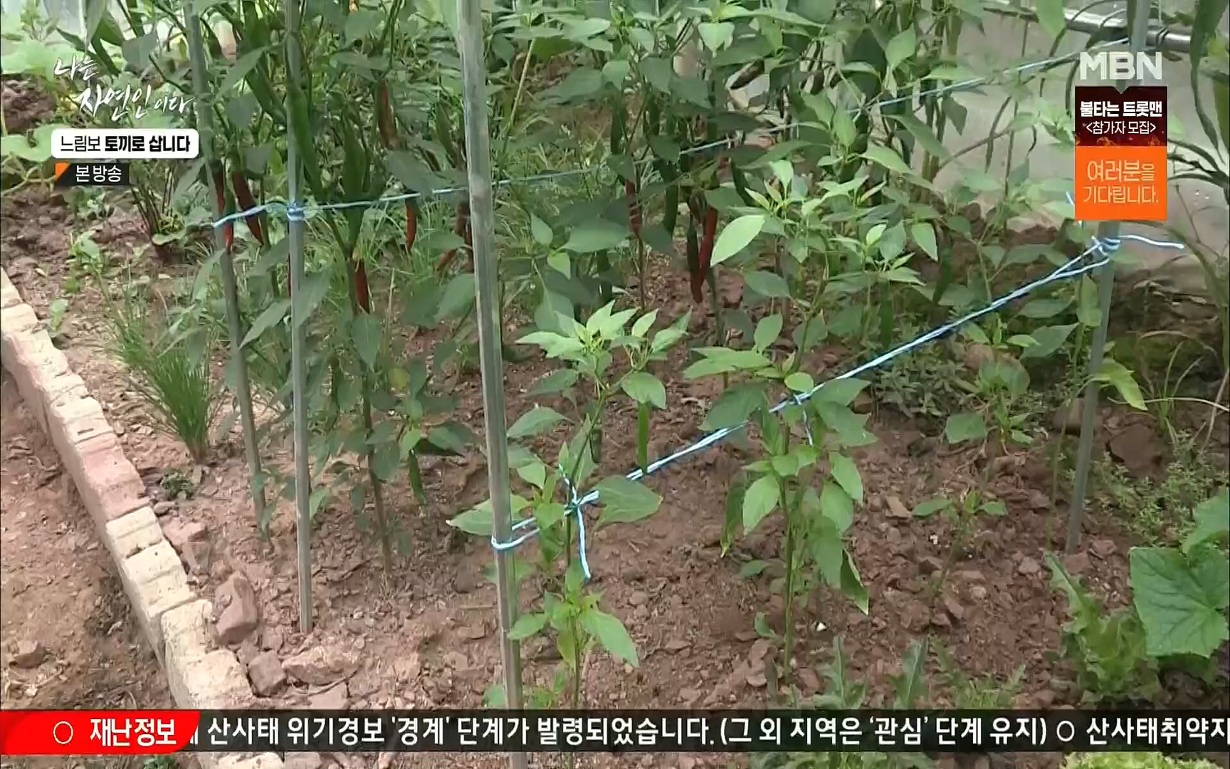 나는 자연인이다.E514.220810p.H264-F1RST.mp4_20220811_202557.618.jpg