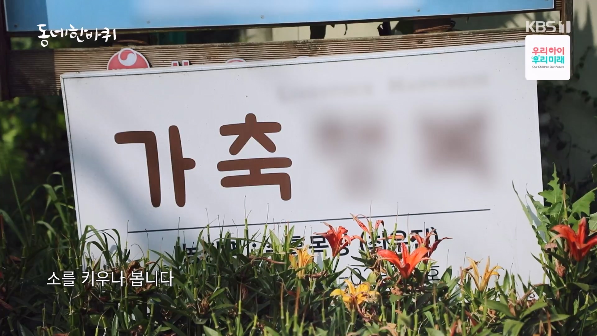 동네 한 바퀴.E282.240713p-NEXT.mp4_20240714_162917.672.jpg