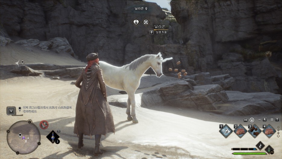 (Hogwarts Legacy) 사소한 게임 스크린샷 모음 86