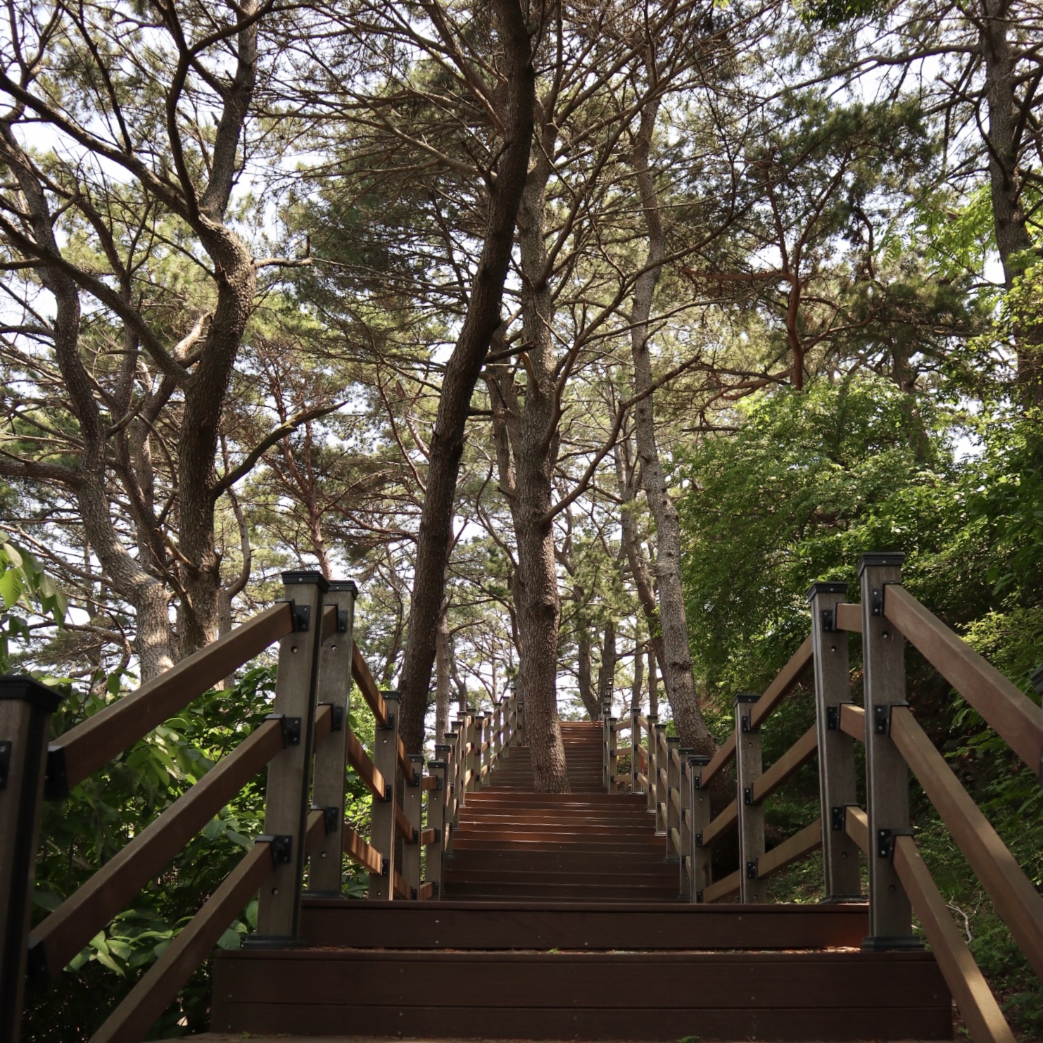 학동흑진주몽돌해변 10