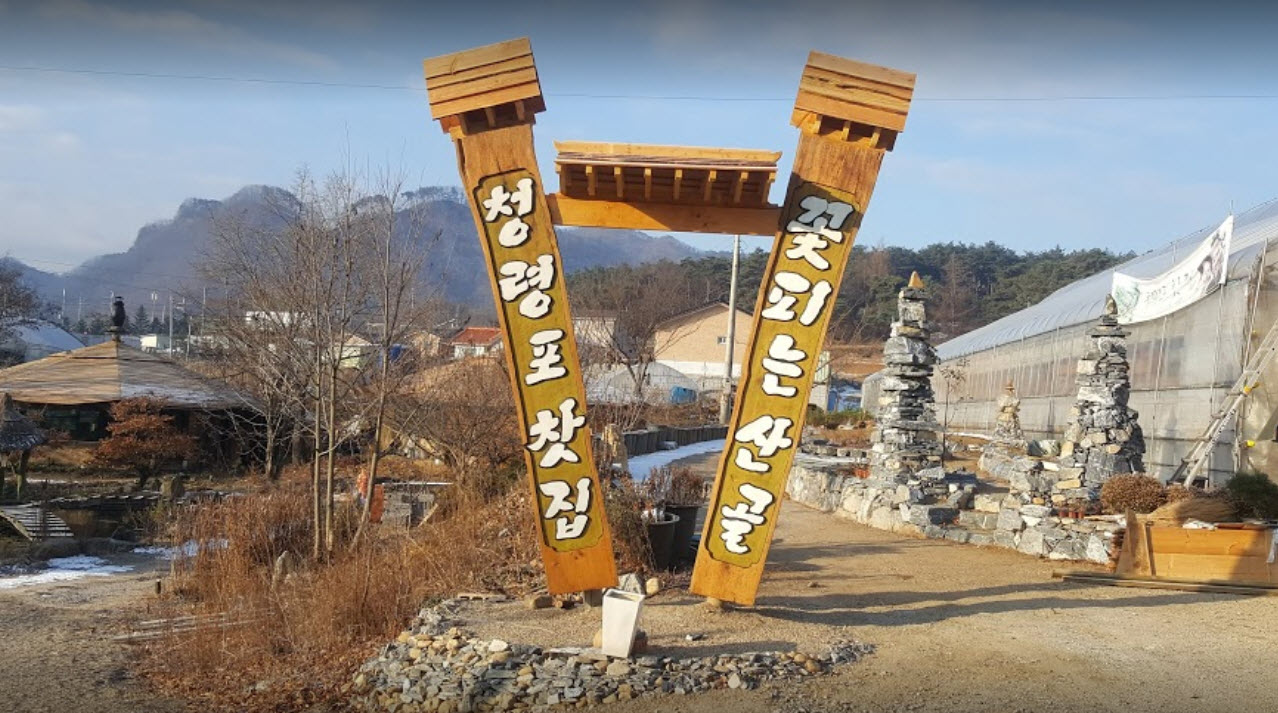  김영철의 동네한바퀴 영월 식물원 피자집 가격 및 위치