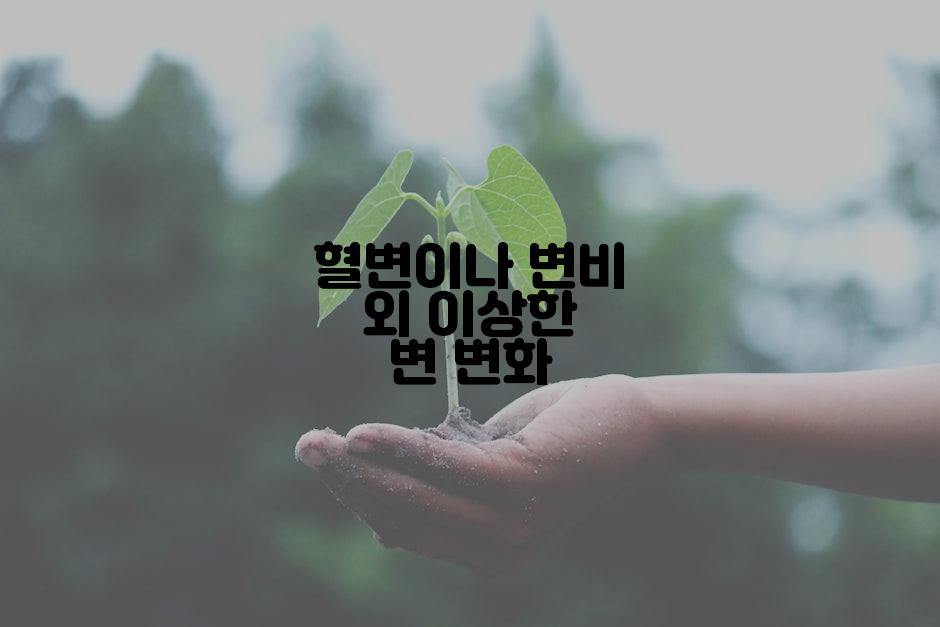 혈변이나 변비 외 이상한 변 변화