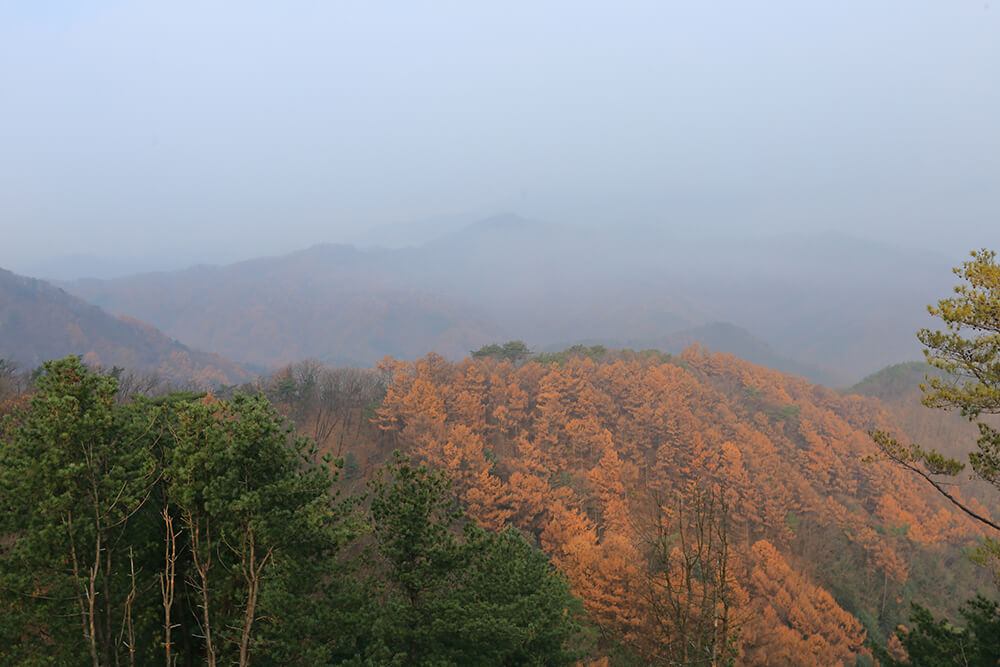 삼악산 전망대 14