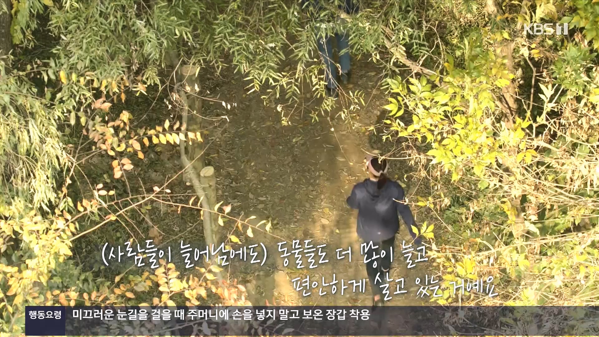 다큐 On.E232.231216p.H264-F1RST.mp4_20231220_212237.585.jpg