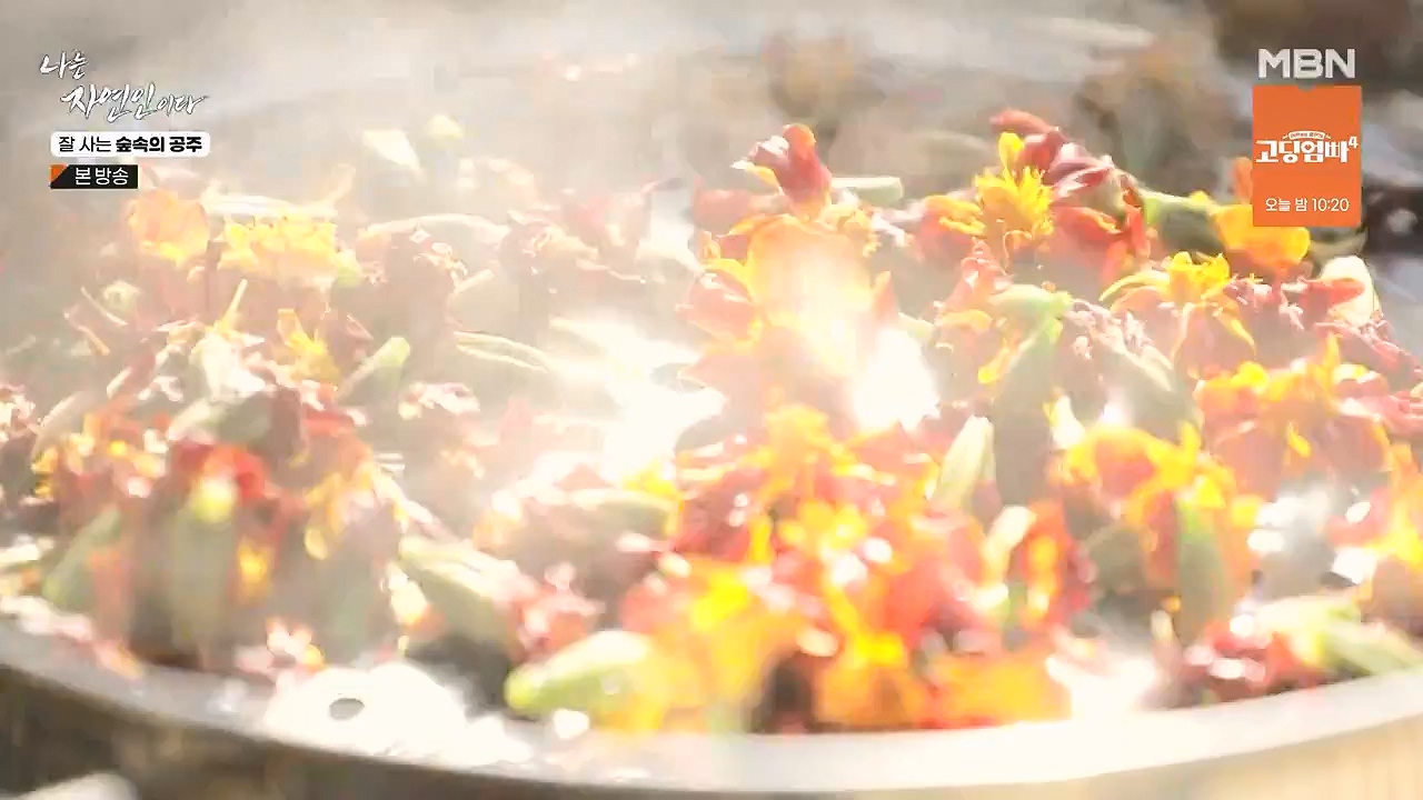 나는 자연인이다.E582.231130p-NEXT.mp4_20231130_200825.172.jpg