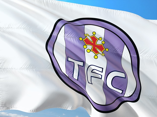 툴루즈 FC 엠블럼 사진