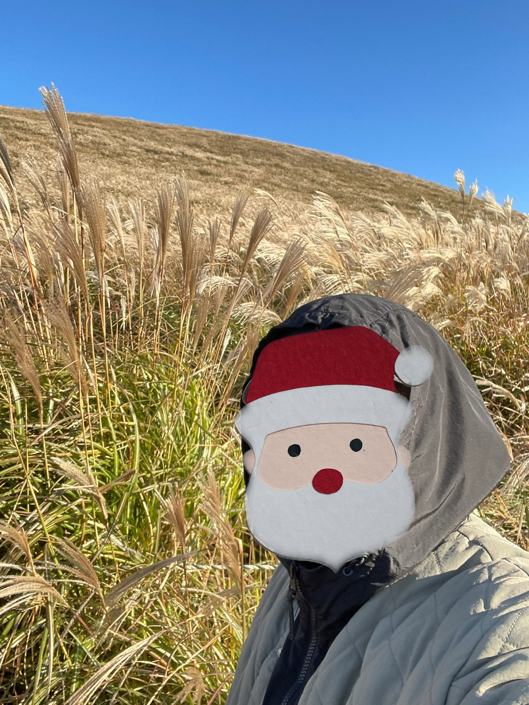 제주도새별오름3