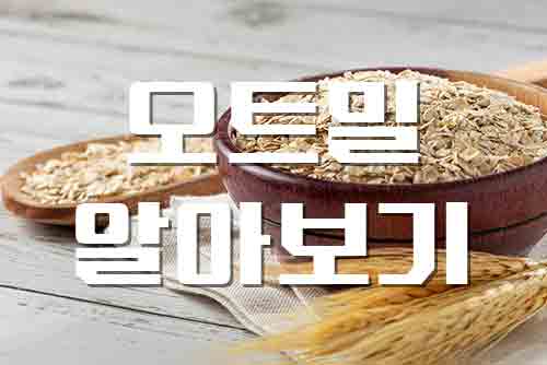  오트밀, 건강한 아침 식사의 정석 오트밀 알아보기