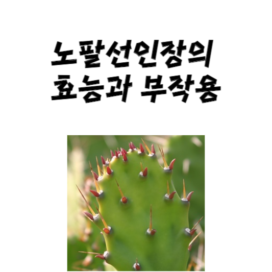 노팔선인장의 효능과 부작용