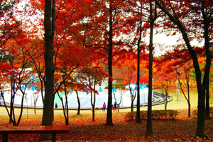 방화근린공원-산책로