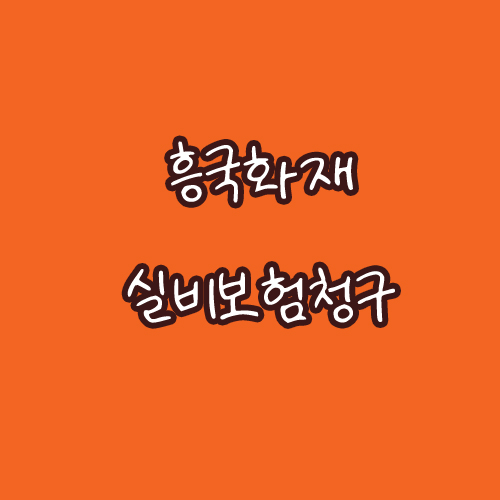  [흥국화재] 실비보험 신청하기 (흥국화재 실비보험청구서류 , 흥국화재 고객센터)