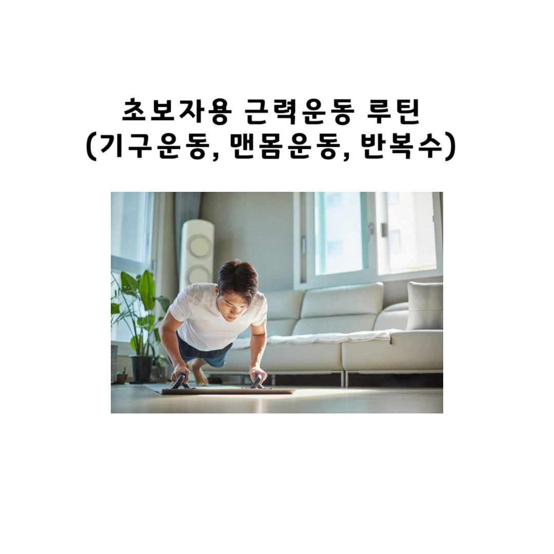 초보자용 근력운동 루틴 정리 (기구운동, 맨몸운동, 반복수)