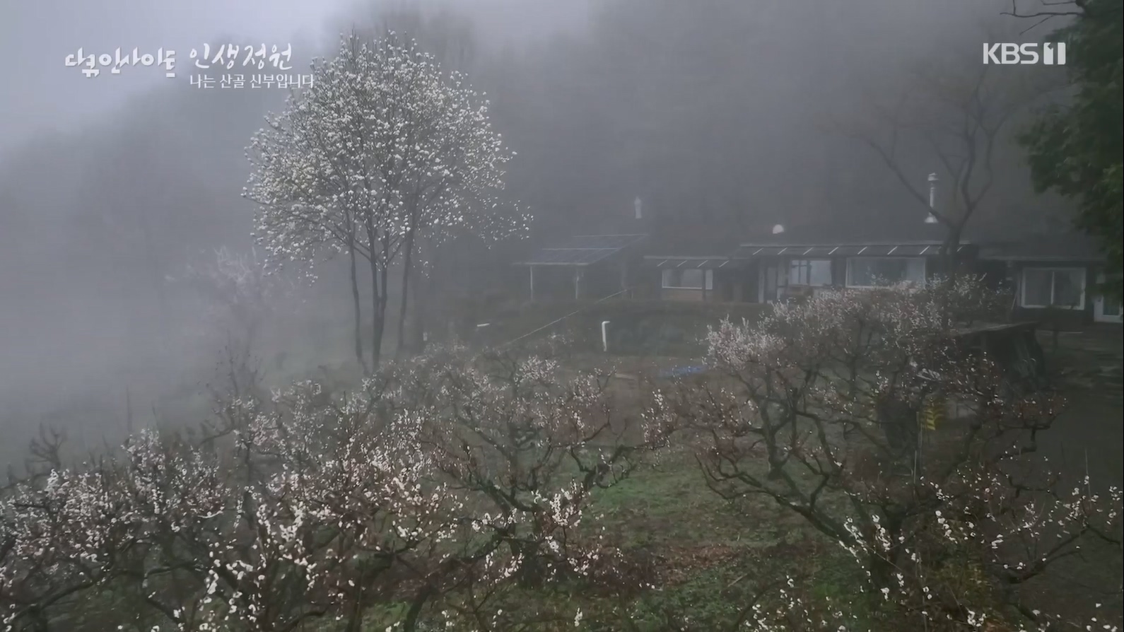 다큐 인사이트.E153.230608p.H264-F1RST.mp4_20230612_204103.096.jpg