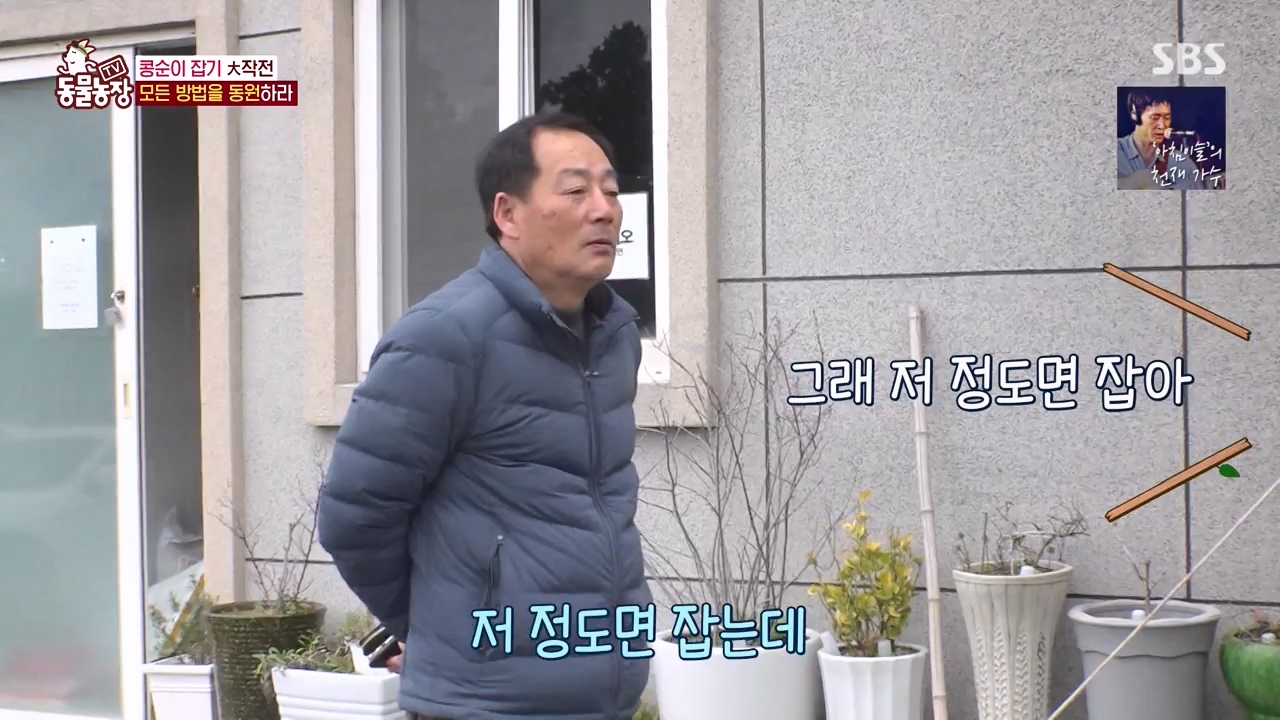 TV 동물농장.E1168.240422p-NEXT.mp4_20240421_170943.603.jpg