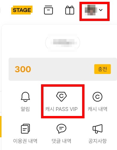캐시-PASS-VIP