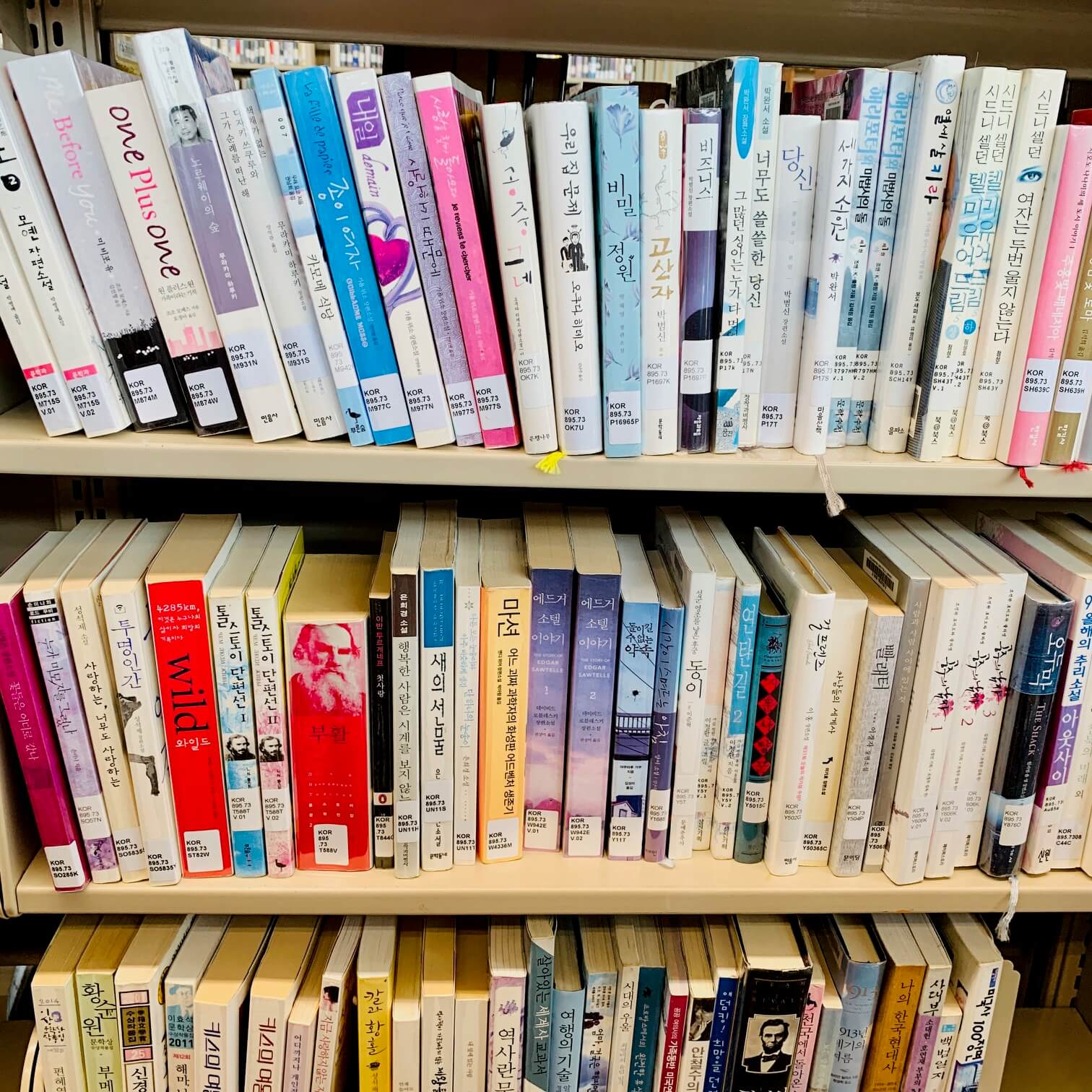 한국-도서-진열대