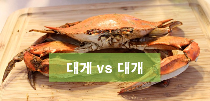  대게 대개 차이 및 올바른 사용법, 대게 뜻 대개 뜻 알아보기